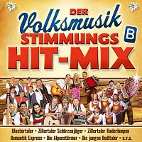 Různí interpreti – Der Volksmusik Stimmungs Hit-Mix - B