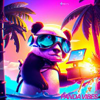 Přední strana obalu CD Panda Vibes