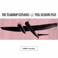 The Teardrop Explodes – Peel Sessions Plus