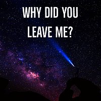Yung Shadøw – Why Did You Leave Me?