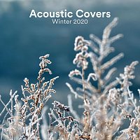 Přední strana obalu CD Acoustic Covers Winter 2020