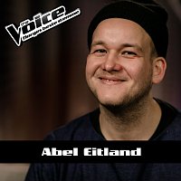 Abel Eitland – Chandelier