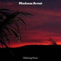 Mindanao Arrest