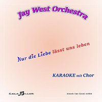 Jay West orchestra – Nur die Liebe lasst uns leben