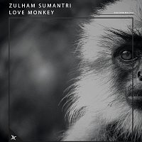 Přední strana obalu CD Love Monkey
