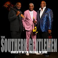 The Southern Gentlemen – Could It Be I'm Falling In Love