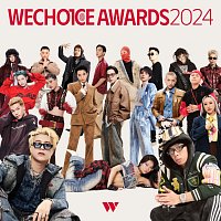 Různí interpreti – WeChoice Awards 2024