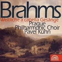Přední strana obalu CD Brahms: Sborové skladby