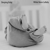 Přední strana obalu CD White Noise Lullaby