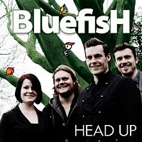 Bluefish – Head Up