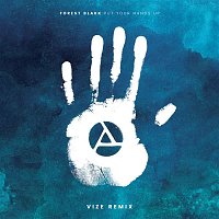 Přední strana obalu CD Put Your Hands Up (Vize Remix)