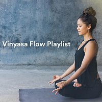 Různí interpreti – Vinyasa Flow Playlist