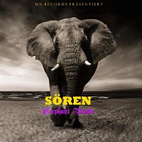 soren – Elephant Parade