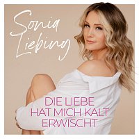 Přední strana obalu CD Die Liebe hat mich kalt erwischt