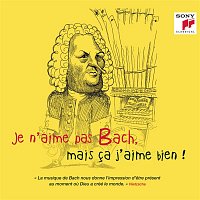 Various  Artists – Je n'aime pas Bach, mais ca j'aime bien !