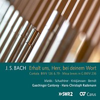Gaechinger Cantorey, Hans-Christoph Rademann – Johann Sebastian Bach: Erhalt uns, Herr, bei deinem Wort