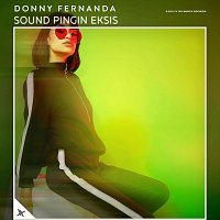 Přední strana obalu CD Sound Pingin Eksis