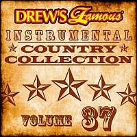 The Hit Crew – Drew's Famous Instrumental Country Collection [Vol. 37]