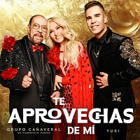 Grupo Canaveral De Humberto Pabón, Yuri – Te Aprovechas De Mí