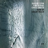 David Torn, Tim Berne, Ches Smith – Sun Of Goldfinger