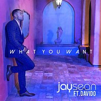 Jay Sean & Davido – What You Want