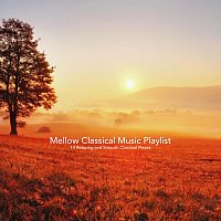 Chris Snelling, Josef Babula, Chris Mercer, Paula Kiete, Chris Snelling, Nils Hahn – Mellow Classical Music Playlist:14 Relaxing and Smooth Classical Pieces