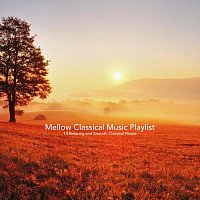 Chris Snelling, Josef Babula, Chris Mercer, Paula Kiete, Chris Snelling, Nils Hahn – Mellow Classical Music Playlist:14 Relaxing and Smooth Classical Pieces