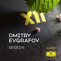Dmitry Evgrafov – Serein
