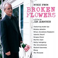 Různí interpreti – Broken Flowers