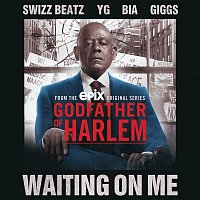 Godfather of Harlem, Swizz Beatz, YG, BIA & Giggs – Waiting On Me