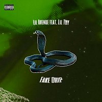 Fake Drip (feat. Lil Toy)