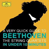 Amadeus Quartet – Beethoven: The String Quartets in under 10 minutes