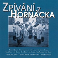 Horňácké muziky s primáši Miroslavem Minklem a Josefem Peškem – Zpívání z Horňácka & Došli sme k vám CD