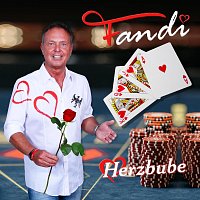 Přední strana obalu CD Herzbube