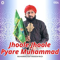 Přední strana obalu CD Jhoole Jhoole Pyare Muhammad
