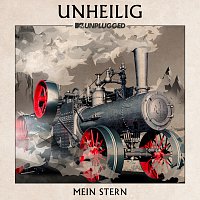 Mein Stern [MTV Unplugged]