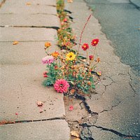 The Belonging Co, Andrew Holt – Son of Man [Live]