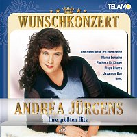 Přední strana obalu CD Wunschkonzert