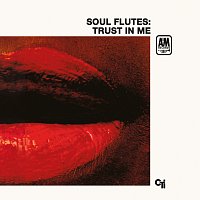 Soul Flutes – Trust In Me