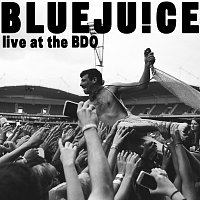 Bluejuice – Live At The Big Day Out 2014