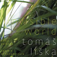 Tomáš Liška – Invisible World FLAC