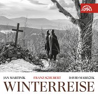 Přední strana obalu CD Schubert: Winterreise