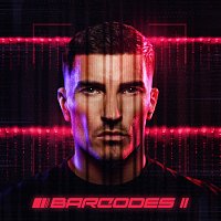 Asche – Barcodes II