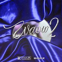 Booz – WAOW2