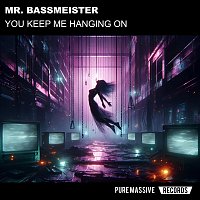 Mr. Bassmeister – You Keep Me Hanging On
