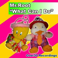 Mr.Root – What Can I Do