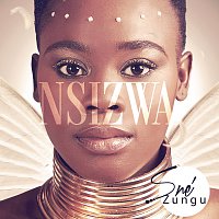 Sné Zungu – Nsizwa