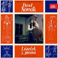 Pavel Novák – Lísteček z javora FLAC