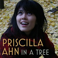 Priscilla Ahn – In A Tree