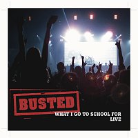 Busted – What I Go To School For - Live Version